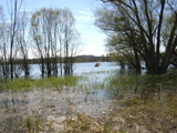 Lac de Villegusien